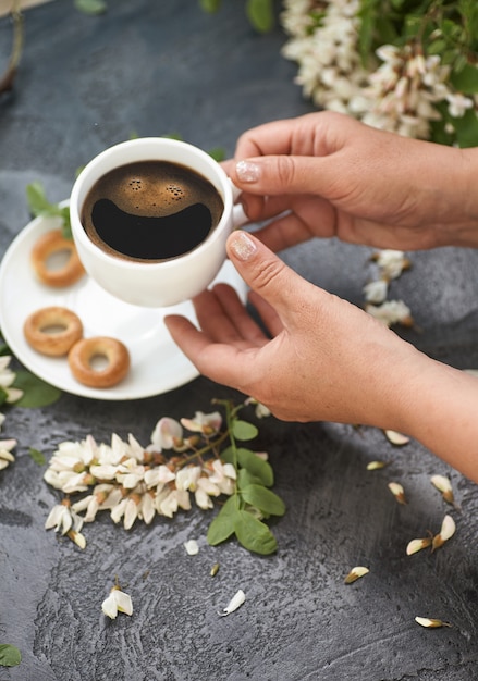 Frühlingslayout mit Kaffee in weiblichen Händen und weißen Akazienblumen.