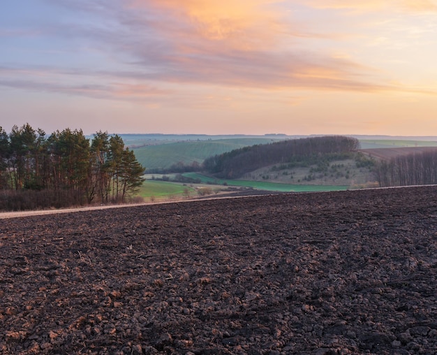 Frühlingsmorgen Acker- und Wachstumsfelder und Landschaft