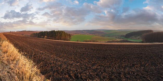 Frühlingsmorgen Acker- und Wachstumsfelder und Landschaft