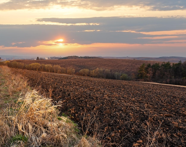 Frühlingsmorgen Acker- und Wachstumsfelder und Landschaft