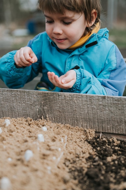 Frühlingspflanzung Aussaat im Bauerngarten kleiner sechsjähriger Junge Bauer Gärtner pflanzt und sät Gemüsesamen im Boden im Bettgarten und beginnt die Sommersaison im Dorf auf dem Land