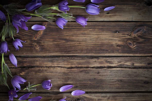 Frühlingspurpurne Blumen auf altem hölzernem Hintergrund