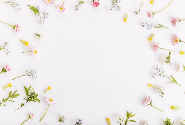 Frühlingsrahmen aus kleinen Blumen und Gänseblümchen-Sommerblumenarrangement