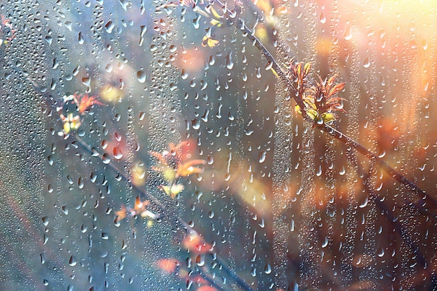 Frühlingsregen Hintergrund verzweigt sich Blätter, abstrakter Hintergrund