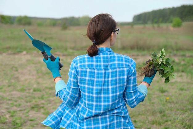 Frühlingssaison, Frau, die im Garten mit Erdbeersträuchern für Pflanz- und Gartenwerkzeuge geht