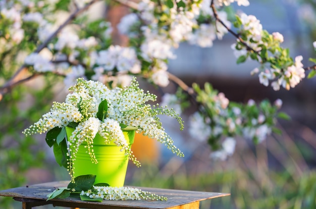 Frühlingsszene im grünen Garten