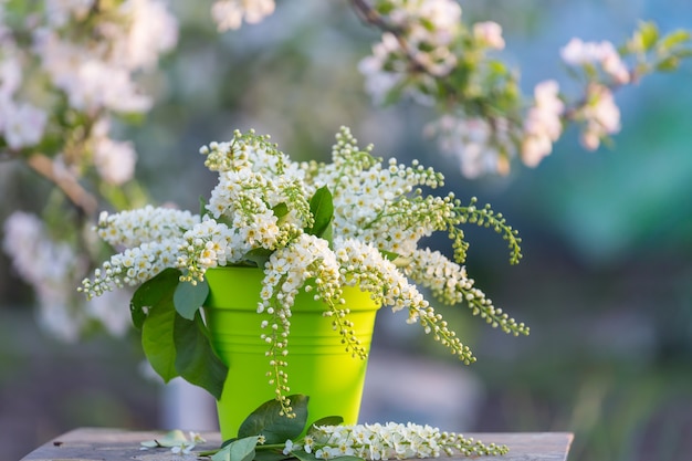 Frühlingsszene im grünen Garten