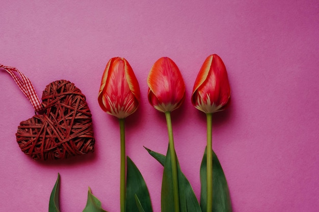 frühlingstapete drei rote tulpen auf rosa und rotem herzen