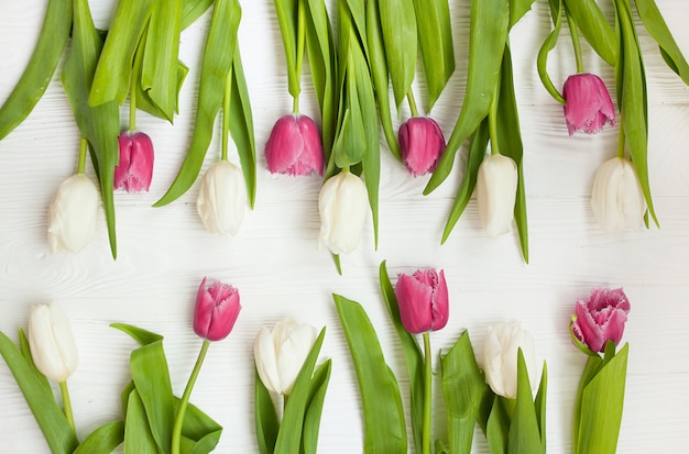 Frühlingstulpenblume auf hölzernem Hintergrund. Tulpe, Gartenkonzept.