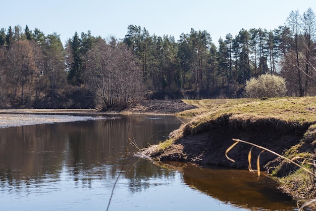 Frühlingsumgebung des Flusses Luga