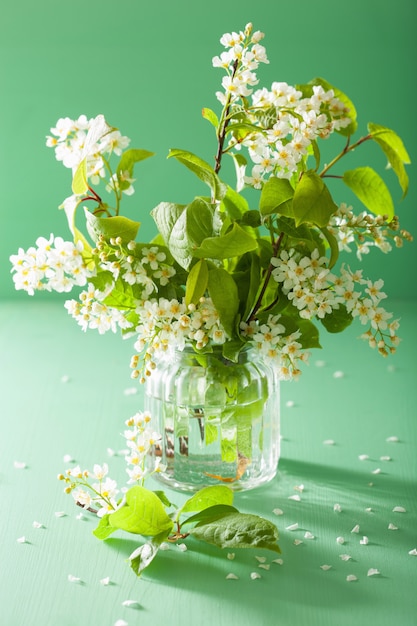 Frühlingsvogel-Kirschblüte in der Vase über grünem Hintergrund
