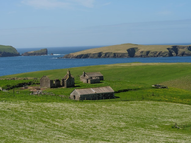 Foto frühlingszeit auf den shetlandinseln.