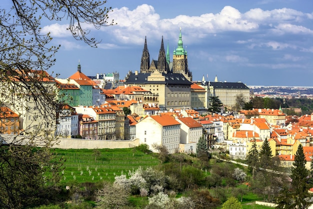 Frühlingszeit in Prag Tschechische Republik