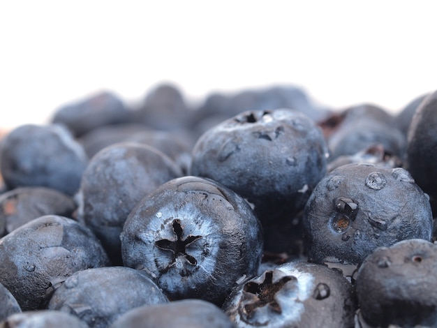 Fruta de arándano