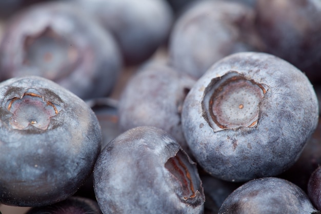 Fruta de arándanos