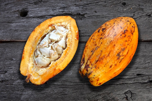 Fruta de cacao colgando del árbol