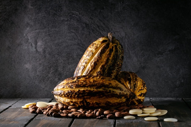 Fruta de cacao decorada con granos de cacao frescos y secos.