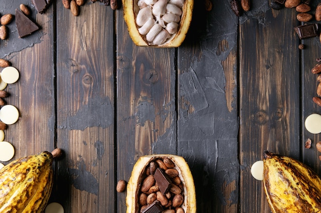 Fruta de cacao decorada con granos de cacao frescos y secos.