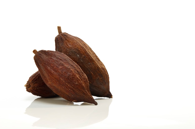 Fruta del cacao en el fondo blanco