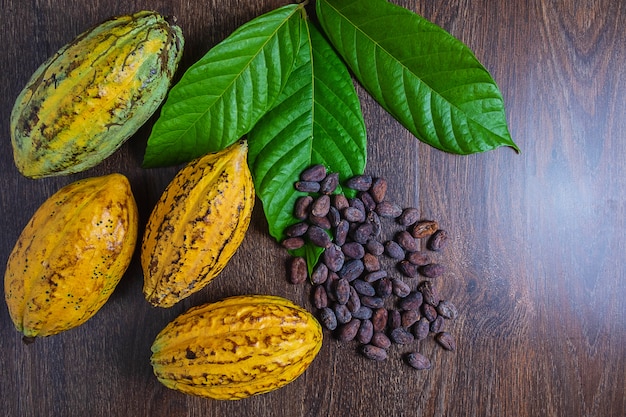 Fruta de cacao y granos de cacao