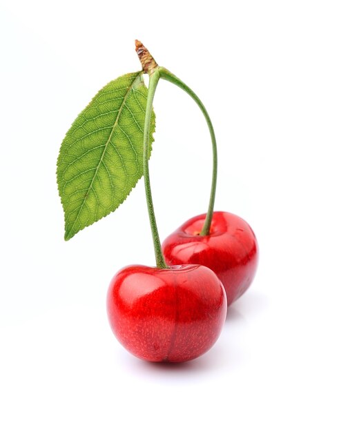 Fruta de cerezas con hojas