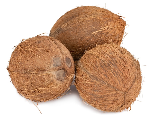 Fruta de coco
