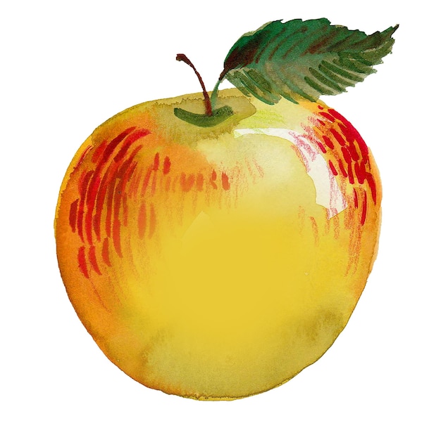 Fruta da maçã com uma folha verde. Pintura aquarela
