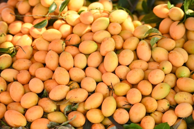 Fruta de ameixa mariana no mercado de frutas tropicais Nome na Tailândia Sweet Yellow Marian Plum Maprang Plango ou Mayong chid