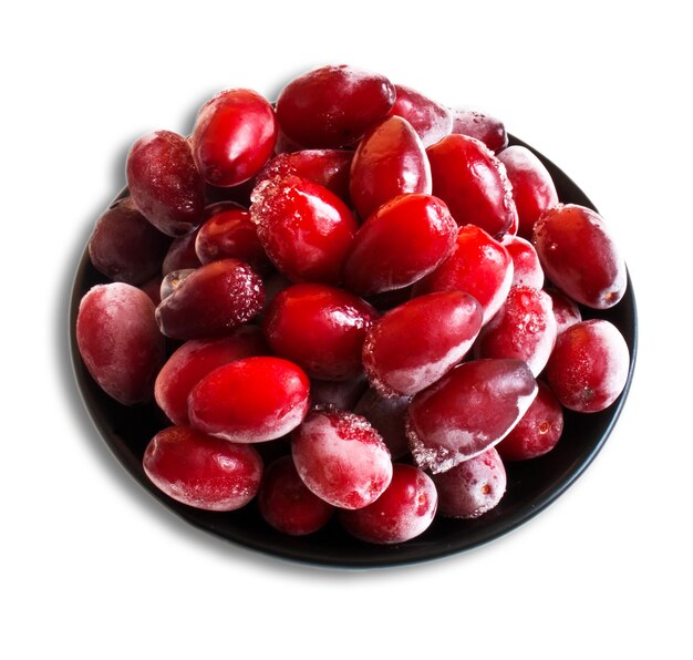 Fruta de dogwood vermelha congelada em fundo branco