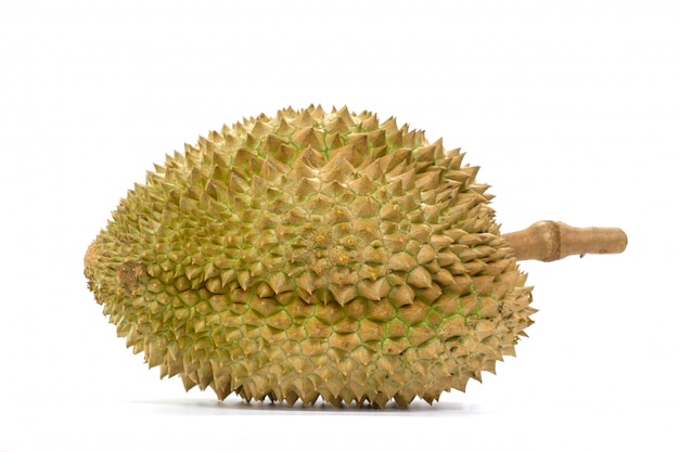 Fruta de durian Mon Thong em fundo branco