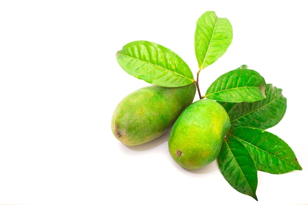 Fruta de manga verde em fundo branco