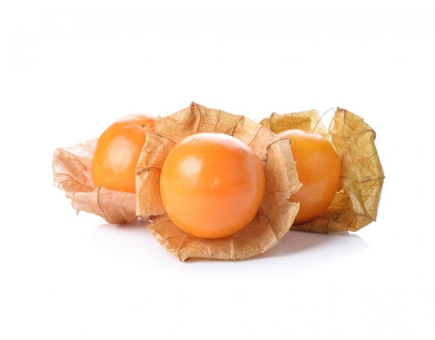 Fruta de Physalis em um fundo branco