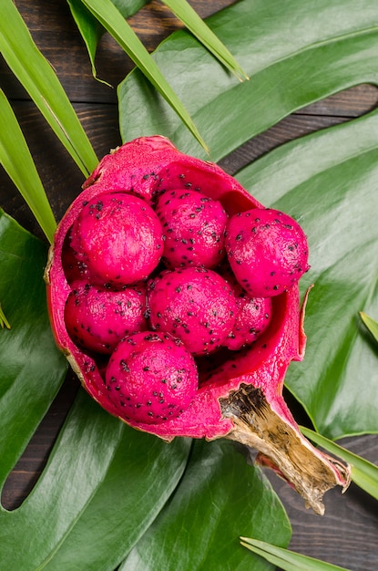 Fruta del dragón en las hojas de palmera y monstruo.