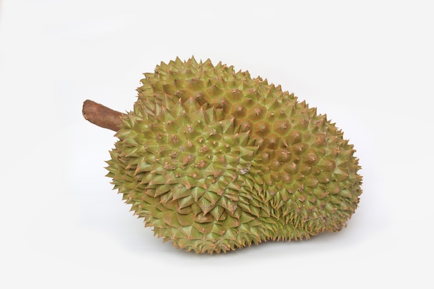 Fruta Durian aislada sobre fondo blanco. Rey de las frutas en el sudeste asiático