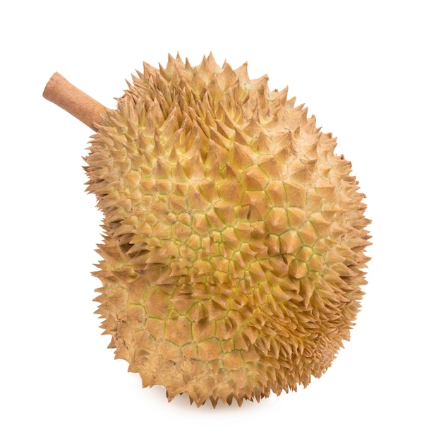 Fruta Durian aislado sobre fondo blanco.