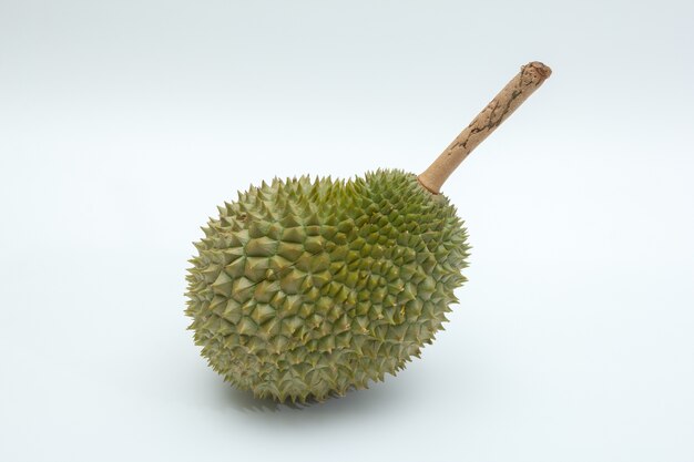 fruta durian madura sobre fondo blanco