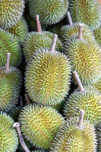 Fruta durian no mercado local, Bali, Indonésia