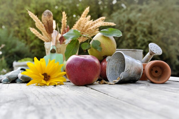 Fruta e flor em uma mesa