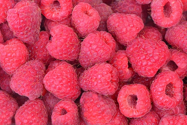 Fruta de frambuesa