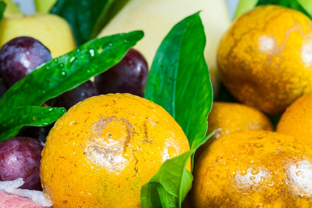 Fruta fresca en la canasta sobre un fondo blanco.