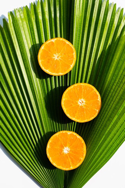 Fruta fresca de laranja em folha de palmeira fiji