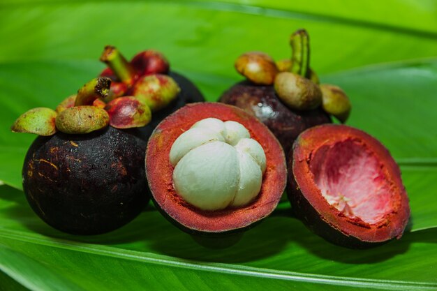 Fruta fresca de mangostão