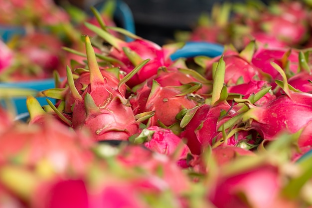 Fruta fresca de pitahaya o diseño de color rojo de fruta de dragón madura