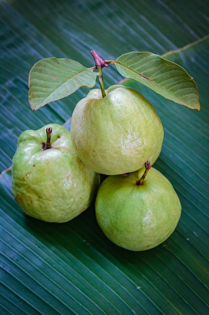 Fruta de guayaba fresca.