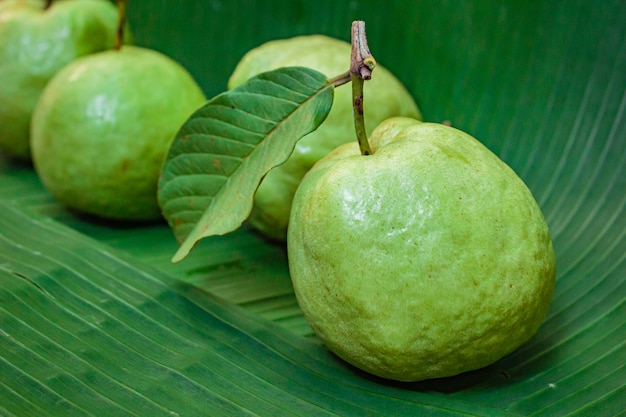 Fruta de guayaba fresca.