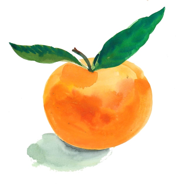 Fruta laranja com folhas verdes. Desenho a tinta e aguarela