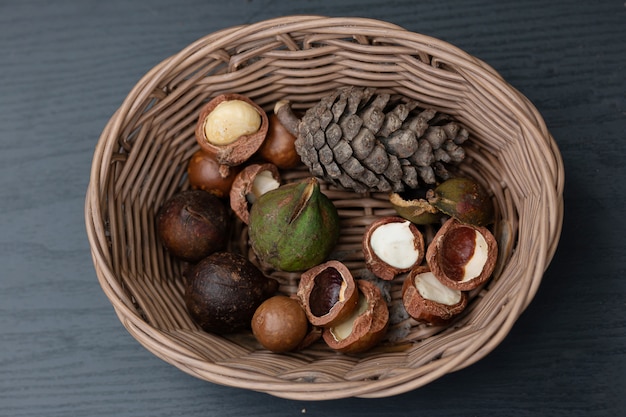 Fruta de macadamia con flores de pino aisladas en hoja verde