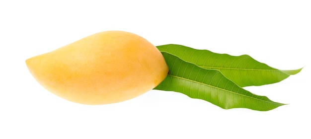fruta de mango con hojas aisladas sobre fondo blanco