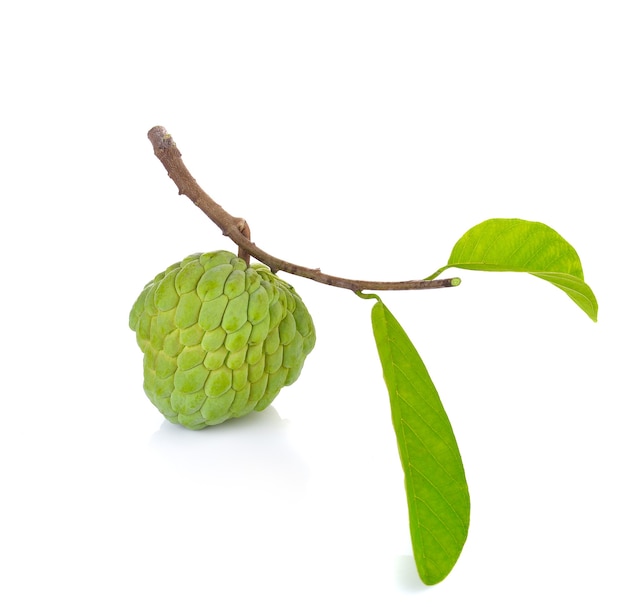 Fruta de la manzana de azúcar en la pared blanca