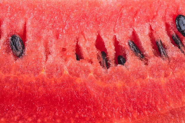 Fruta de melón de agua sobre fondo blanco.